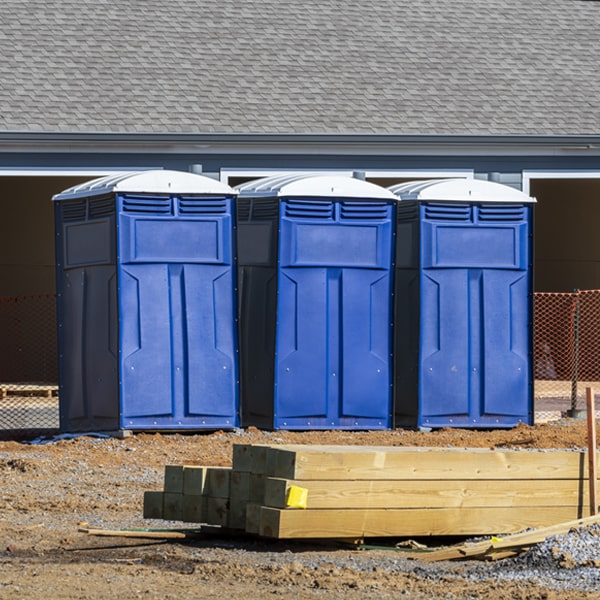 can i customize the exterior of the porta potties with my event logo or branding in North Blenheim